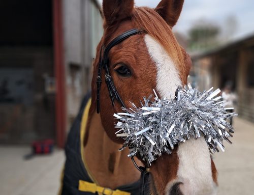 Feeling Festive – 28/11/25