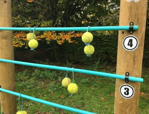 Ladder Tennis – 11/11/25